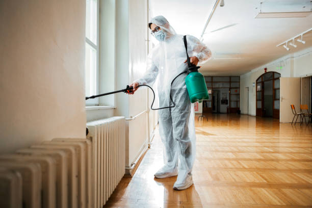 Professional Pest Control in Elmont, NY